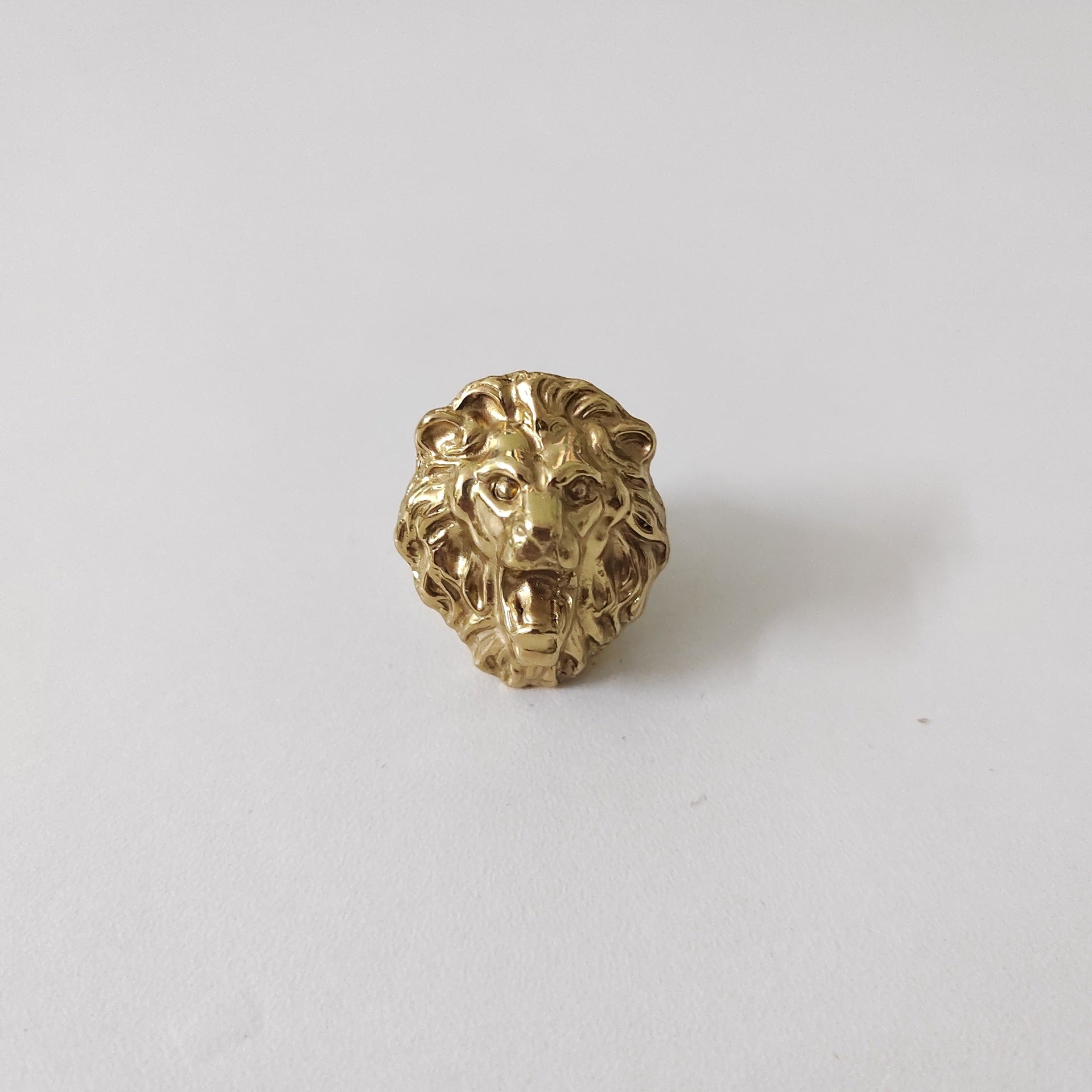 Brass lion head handle/handle