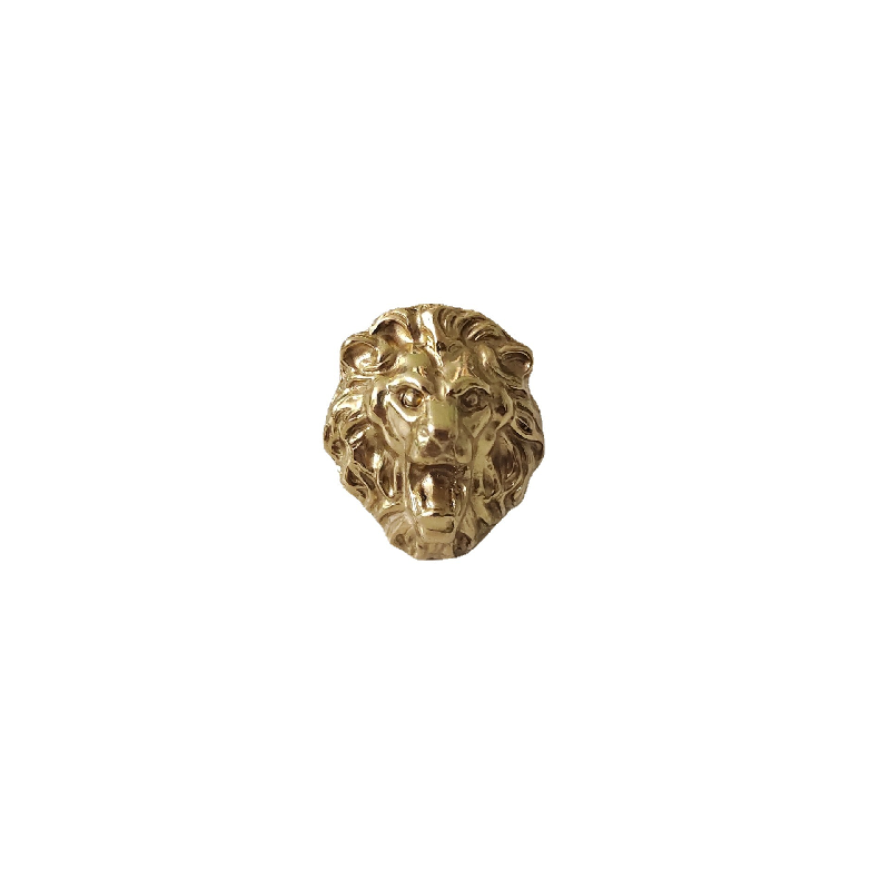 Brass lion head handle/handle